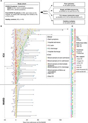 Severe COVID-19 patients display hyper-activated NK cells and NK cell-platelet aggregates